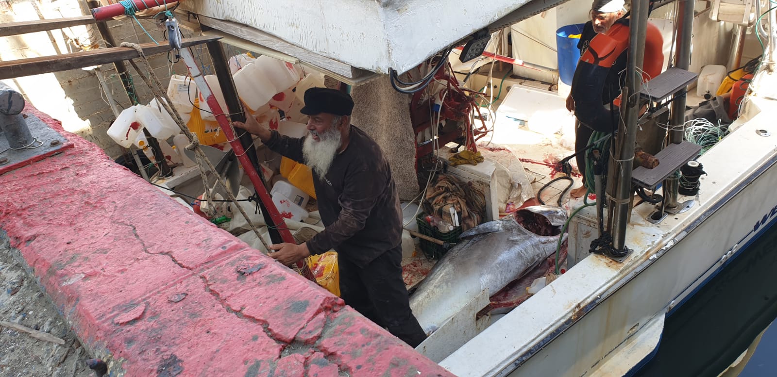 WhatsApp Image 2020-05-13 at 9.01.55 AM (1).jpeg.jpeg